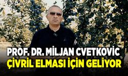 Çivril Belediyesinden Elma Yetiştiriciliğine Uluslararası Destek