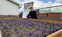 BAŞKAN’DAN TOPRAĞA DOKUNMANIN HUZURUNU YAŞAYIN ÇAĞRISI