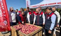 Vali Coşkun Çivril’de Elma Hasadına Katıldı