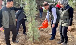 Çivril'de Yüzlerce Fidan Toprakla Buluştu