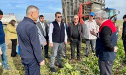 Çivril’de Pancar Hasadı Başladı