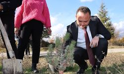 Çivril’de Başkan Dere Öğretmenler Günü Anısına Fidan Dikti