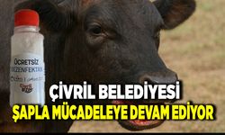 Çivril Belediyesi Şap Hastalığıyla Savaşa Devam Ediyor