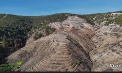 Çivril’de Orman Alanları Yeniden Yeşillendiriliyor