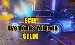 Ecel Yaşlı Kadını Yolda Yakaladı