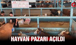 Çivril’de Hayvan Pazarı Yeniden Açıldı