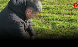 Çivril İlçe Tarım, Arpa-Buğday ve Haşhaş Tarlalarını Takipte