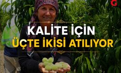 Çivril’de Şeftali Üreticisinin Zorlu Mesaisi Başladı