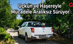 Çivril'de Uçkun ve Haşere Mücadelesi Aralıksız Devam Ediyor