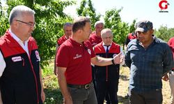 Çivril’de Şeftali ve Nektarin Üretimine Yakın Takip