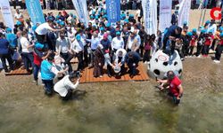 Yaşamın İzinde projesinde 2. etap: Özel teknolojiyle üretilen 100 resif bloğu su altında