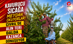 Kavurucu sıcağa meydan okuyorlar! Çivril'de alın teri dalda kazanca dönüşüyor