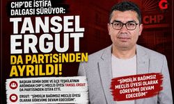CHP'de İstifa Dalgası Sürüyor: Tansel Ergut da Partisinden Ayrıldı
