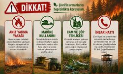 Çivril'de alarm: Sıcaklıklarla birlikte yangın riski de artıyor! Ormanlar için kritik uyarı
