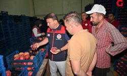 Çivril’de Şeftalinin Tarladan Sofraya Yolculuğu Yerinde İncelendi
