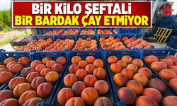 Çivril'de Şeftali Fiyatı Bir Günde Yarıya Düştü