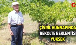 Denizli’de Sadece Çivril’de Yetişen Hünnap Hasadı Başlıyor