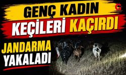 Derede Kaybolan Keçiler Jandarmanın Desteğiyle Bulundu