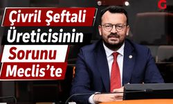 Yeni Parti Milletvekili Arpacı Çivrilin Sesi Oldu