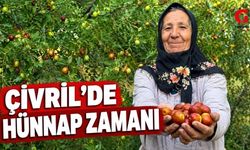 Denizli’nin Hünnap Deposu Çivril'de Hasat Mesaisi