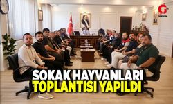 Çivril’de Sahipsiz Sokak Hayvanları Toplantısı Yapıldı