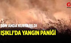 Işıklı’da yangın paniği: Alevlerin arasında kalan at ekipler tarafından kurtarıldı