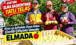 Çivril'de Elma Hasadı Başladı Çiftçinin Umudu Bu Yıl Elmada