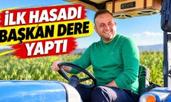 Çivril'de Başkan Dere Maralfalfa Hasadı Yaptı