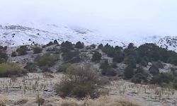 Honaz Dağı’nda mevsimin ilk karı görüldü