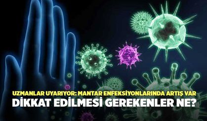 Uzmanlar Uyarıyor: Mantar Enfeksiyonlarında Artış Var, Dikkat Edilmesi Gerekenler Ne?