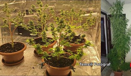 Çivril’de İki Adrese Eş Zamanlı Narkotik Baskın