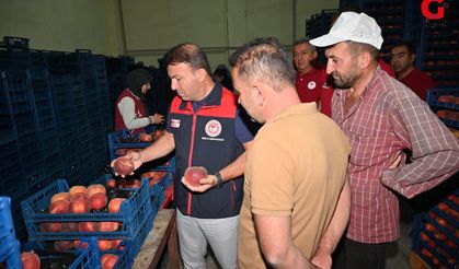 Çivril’de Şeftalinin Tarladan Sofraya Yolculuğu Yerinde İncelendi