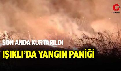 Işıklı’da yangın paniği: Alevlerin arasında kalan at ekipler tarafından kurtarıldı