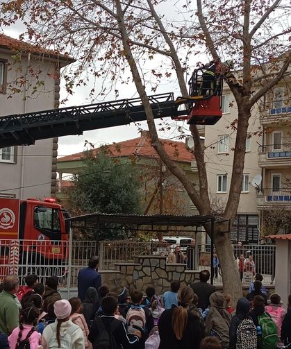 Mahsur Kalan kedinin İmdadına İtfaiye Yetişti