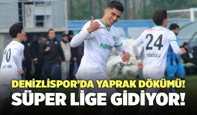 Denizlispor’da Veda! Süper Lige Gidiyor!