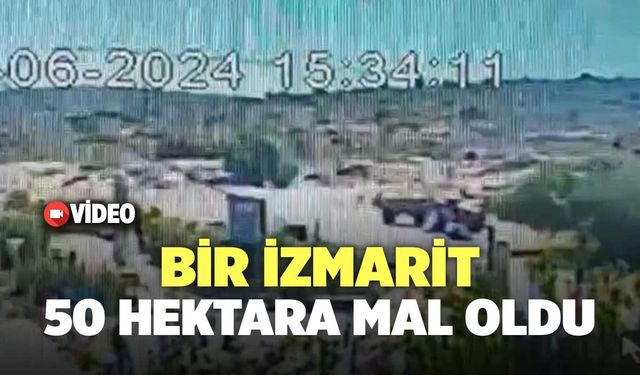 Bir İzmarit 50 Hektara Mal Oldu