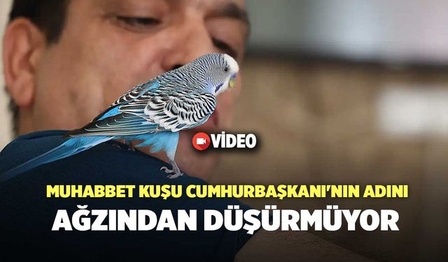 Muhabbet Kuşu Cumhurbaşkanı'nın Adını Ağzından Düşürmüyor