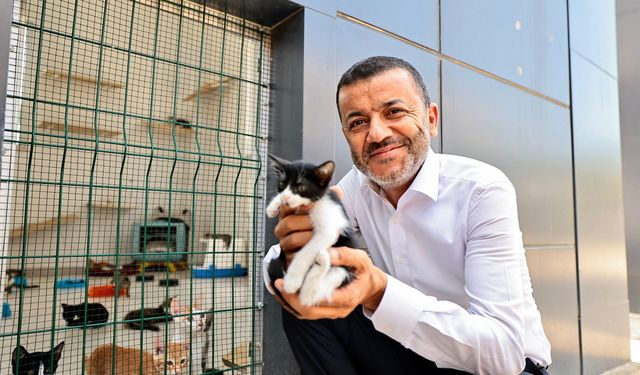Denizli Büyükşehir Belediyesi sokak hayvanlarına sahip çıkıyor