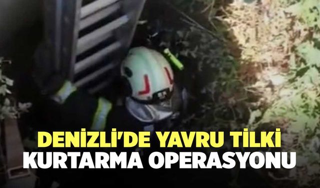 Denizli'de Yavru Tilki Kurtarma Operasyonu