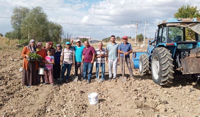 KÖYLÜ VE MUHTAR AĞAÇLANDIRMA YAPTI