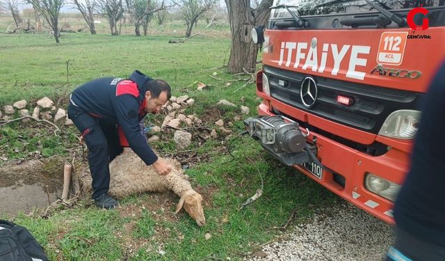 İtfaiyeden Başarılı Operasyon