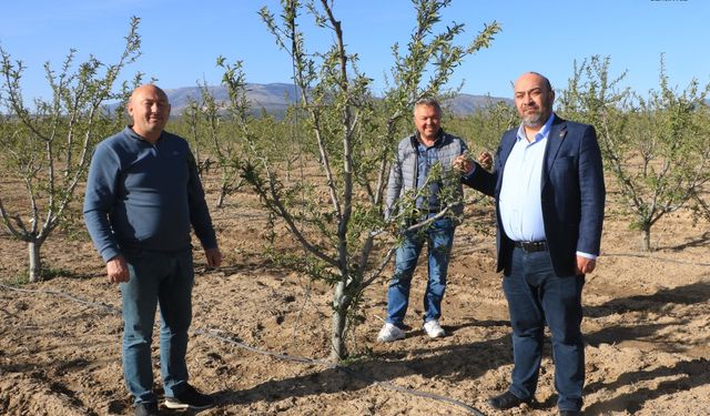 Çivril Afet Bölgesi Olmalı Çiftçi Desteklenmeli