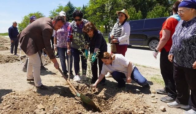 Çivrilli Başkanlar Anneler İçin Ağaç Dikti