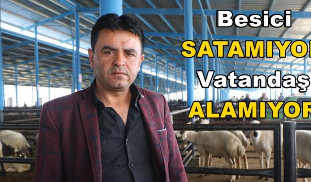 Üretici Değerinde Satamıyor Vatandaş Bütçesine Uygun Kurbanlık Bulamıyor