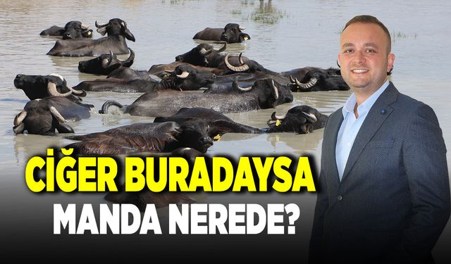 Semih Dere ; "Yolsuzluklarla İlgili Adli Makamlara Gideceğiz"