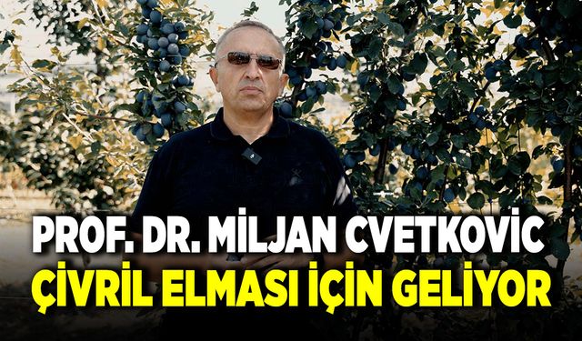 Çivril Belediyesinden Elma Yetiştiriciliğine Uluslararası Destek