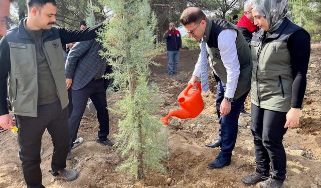 Çivril'de Yüzlerce Fidan Toprakla Buluştu