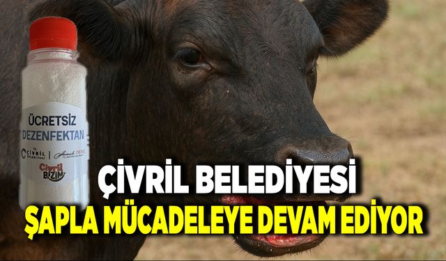 Çivril Belediyesi Şap Hastalığıyla Savaşa Devam Ediyor