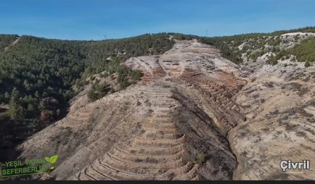 Çivril’de Orman Alanları Yeniden Yeşillendiriliyor