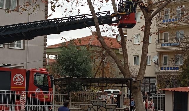 Mahsur Kalan kedinin İmdadına İtfaiye Yetişti